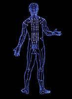 Acupoints